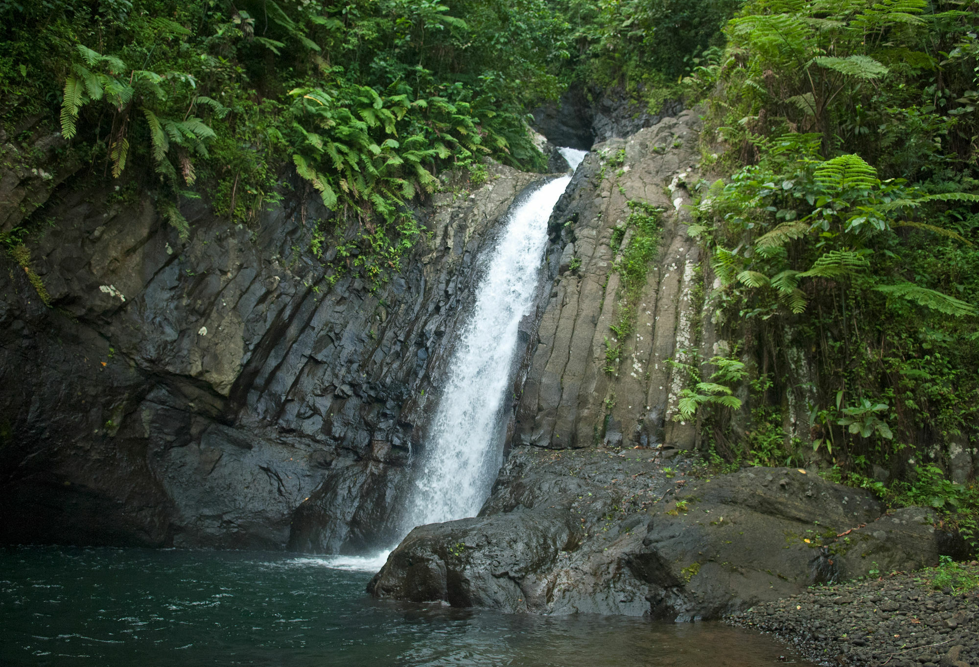 Emaho Sekawa Resort Savusavu Eksteriør bilde